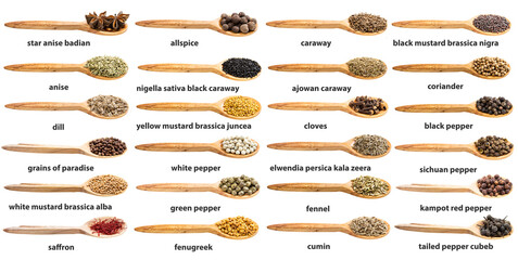 set of various spices in wooden spoon with names