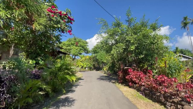 POV On The Street With Ornamental Plants And Typical Rural Houses At The Bangladesh-India Border In India.