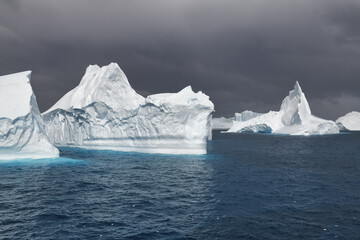 Cooper Bay, Floating Icebergs, South Georgia, South Georgia and the Sandwich Islands, Antarctica