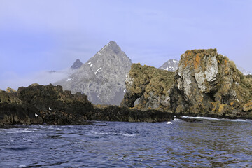 Fototapeta na wymiar Undine Harbour, South Georgia, South Georgia and the Sandwich Islands, Antarctica