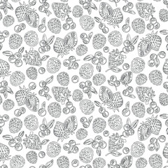 Berries mix, lines pattern background, seamless. Black outline on white.