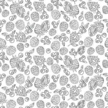 Berries mix, lines pattern background, seamless. Black outline on white.