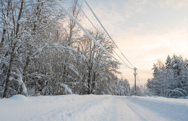 Electric wires covered with snow, along a village road and forest, on a frosty winter day.
