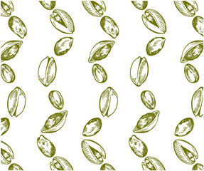 Sketch hand drawn pattern of green pistachio nuts isolated on white background. Engraved drawing nut wallpaper. Organic vegan food packaging. Vector illustration. - 485623135