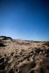 shadows crossing over California beach dunes