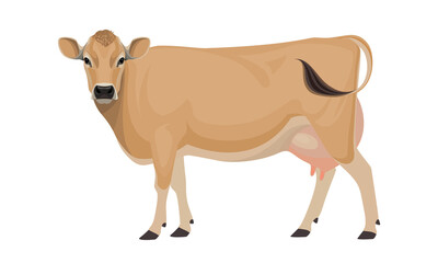 Cow Jersey - The Best Milk Cattle Breeds. Farm animals. Vector Illustration.