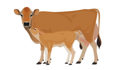Cow Jersey with Calf - The Best Milk Cattle Breeds. Farm animals. Vector Illustration.