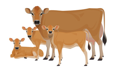 Cow Jersey with Calf - The Best Milk Cattle Breeds. Farm animals. Vector Illustration. - obrazy, fototapety, plakaty