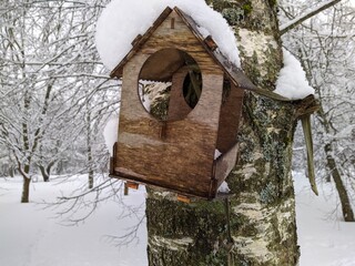 old and broken wooden birdhouse hanging on a tree in the park in the winter season covered with snow.