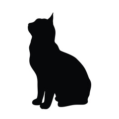 Vector silhouette of the cat, sitting,  black color, isolated on white background