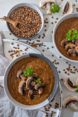 Home made mushroom cream soup with sliced dry mushrooms