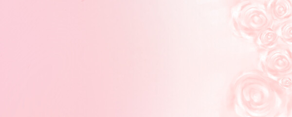 pink background with flowewr