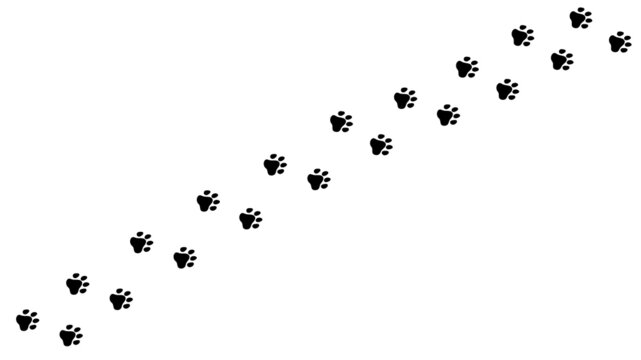 Animal paws: cat, puppy on a white background. Cute flat illustration. Animal trail. Dirty print, the step of a wolf, a dog. Animal walk .Vector