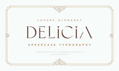 Vintage and classic alphabet font set design. Vector illustration typeface. Decorative serif fonts collection. Ligature collective designs.