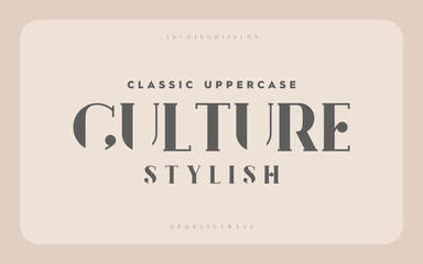 Vintage and classic alphabet font set design. Vector illustration typeface. Decorative serif fonts collection. Ligature collective designs.