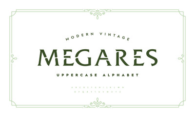 Vintage and classic alphabet font set design. Vector illustration typeface. Decorative serif fonts collection. Ligature collective designs.