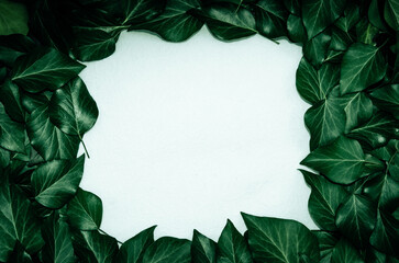 Creative layout made of leaves with paper card note. Flat lay. Blank for advertising card or invitation. Nature concept.