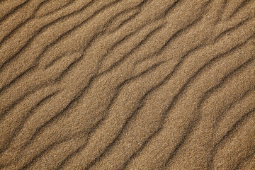 Fototapeta na wymiar Windswept Sand Texture Detail on a Beach
