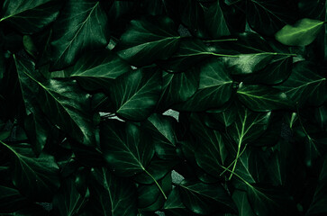 Creative layout made of leaves with paper card note. Flat lay. Blank for advertising card or invitation. Nature concept background.