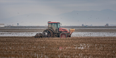 Fototapeta premium Tractor en la albufera de Valencia