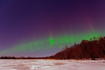 Aurora borealis green-purple on a clear winter night