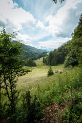 Fototapeta premium View of a summer valley in the mountains