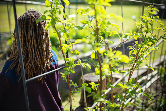 Woman in sunny garden