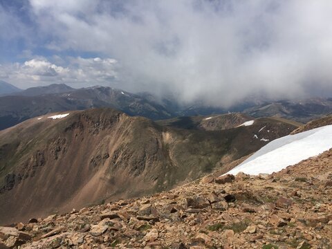 Colorado Mountain Fields and Forests with Green Grass, Flowers and Blue Sky