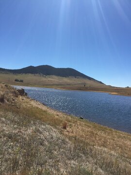 Colorado Mountain Fields and Forests with Green Grass, Flowers and Blue Sky