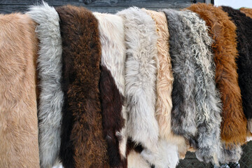 tanned sheep skins for sale