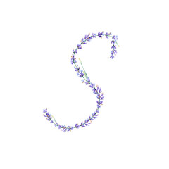 Floral Letter S. Watercolor hand drawn alphabet letter with botanical illustration of lavender flowers, leaves and branch. Initial letter for logo, greeting cards, invitations
