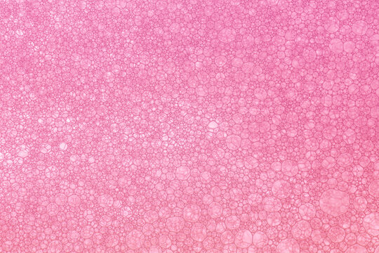 Pink biotechnology texture,Red bubbles abstract,Macro close up of soap bubbles,Abstract Background of Oil Bubbles on Water Surface pink salmon colorful palette. Macro close-up shot.