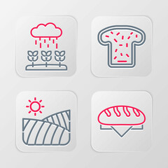 Set line Bread loaf, Agriculture wheat field, toast and Plant sprouts grow in the rain icon. Vector