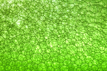 Light Green Background Closeup of Oil Drops in Water. Abstract Macro Photo of Liquid Surface with Bubbles. Bright Design of Structural Watery Texture
