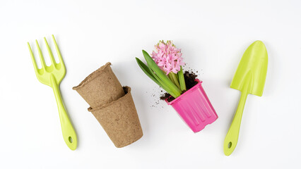 Set of garden accessories with a plant on a white background. Top view.