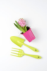 Set of garden accessories with a plant on a white background. View from above.