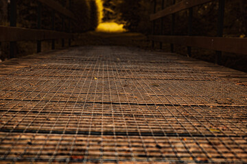 ground view from a wooden bridge in autumn