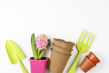 Set of garden accessories with a plant on a white background. Top view, copy space.