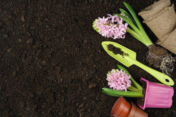 Garden tools, hyacinth flowers, peat pots on the background of the soil. Spring garden concept. Place for text.