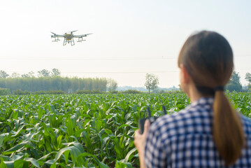Young smart farmer controlling drone spraying fertilizer and pesticide over farmland,High technology innovations and smart farming - obrazy, fototapety, plakaty