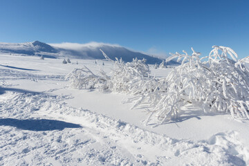 Fototapeta na wymiar Aerial Winter view of Vitosha Mountain, Bulgaria