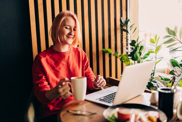 Young blonde woman wearing red casual sweater in cafe working on the laptop computer and drinking...