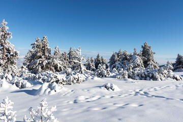 Aerial Winter view of Vitosha Mountain, Bulgaria