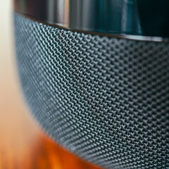 Audio speaker of one of the leading brands of mobile electronics