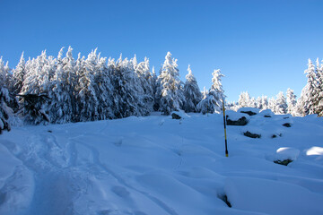 Aerial Winter view of Vitosha Mountain, Bulgaria