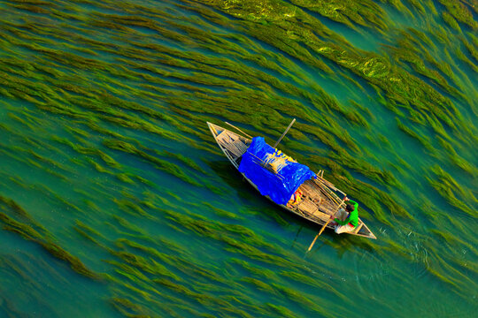 Aerial view of a person sailing with a canoe in the river with Algae, Sirajganj, Bangladesh.
