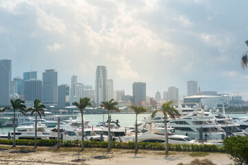 Miami skyline