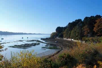 Oyster farm along  Baden coast  in the Morbihan gulf