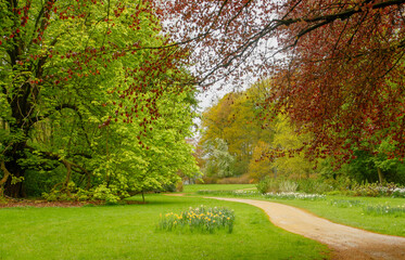 Hermoso camino para ir de paseo, Parque del Castillo de Gaasbeek en Lennik, Bélgica. Un lugar donde destaca la belleza natural de sus jardines, que invitan a la calma y la tranquilidad.