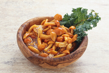 Wild pickled honey mushroom in the bowl